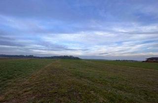 Grundstück zu kaufen in 3910 Oberstrahlbach, GROSSGLOBNITZ - NEU ERSCHLOSSENE BAUGRUNDSTÜCKE