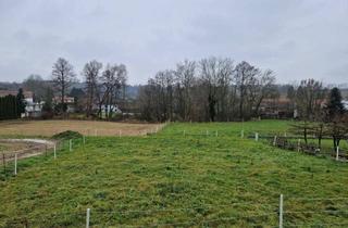 Grundstück zu kaufen in 3454 Sitzenberg, PREISREDUKTION: SONNIGE LEBENSQUALITÄT AM LAND - BAUGRUNDSTÜCK OHNE BAUZWANG