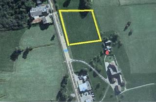 Grundstück zu kaufen in 4813 Altmünster, Land- und forstwirtschaftliche Fläche zu verkaufen