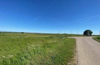 Grundstück zu kaufen in 2425 Nickelsdorf, Nickelsdorf -sonniges Grundstück in absoluter Ruhelage