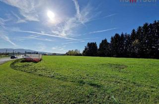 Grundstück zu kaufen in 8410 Wildon, Gewerbe- und Industiegrundstück in Weitendorf (Wildon)