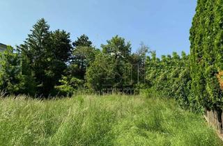 Grundstück zu kaufen in 1190 Wien, Südseitiger Villenbaugrund mit Baugenehmigung!