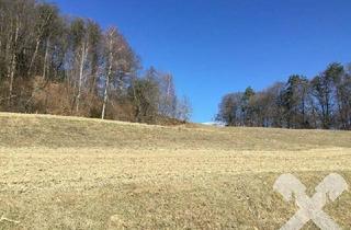 Grundstück zu kaufen in 8081 Pirching am Traubenberg, Grundstück in Edelstauden 214/7