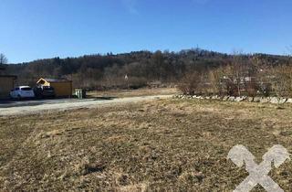 Grundstück zu kaufen in 8280 Altenmarkt bei Fürstenfeld, Grundstück in Altenmarkt bei Fürstenfeld - GNr. 71/1