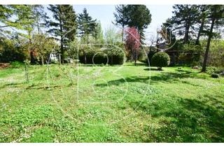 Grundstück zu kaufen in 2344 Maria Enzersdorf, Phänomenaler Baugrund für Villa oder Doppelhaus in Grünruhelage!