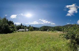 Grundstück zu kaufen in 9220 Kerschdorf, Sonniges Grundstück mit Traumsicht ober Velden #Karawankenblick