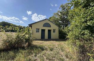 Grundstück zu kaufen in Anton Seidlgasse, 2344 Maria Enzersdorf, PROVISIONSFREI - GROSSES GRÜNLAND GRUNDSTÜCK MIT BESTANDSHAUS - ANLAGE