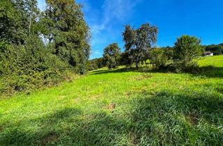 Grundstück zu kaufen in 4560 Kirchdorf an der Krems, Land & Gut: Kleinod in End-, Ruhe- & Südhang-Lage im Kremstal!