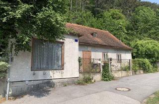 Grundstück zu kaufen in Hainfelderstraße 52, 2564 Fahrafeld, [06165] Baugrund mit Abbruchhaus in Fahrafeld / Weissenbach