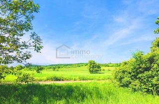 Grundstück zu kaufen in 7091 Breitenbrunn am Neusiedler See, Baugrund gesamt im Paradies