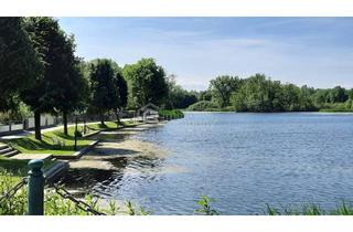 Grundstück zu kaufen in 3454 Thallern, Frühjahrspreis! 4392 m² Grund in Thallern