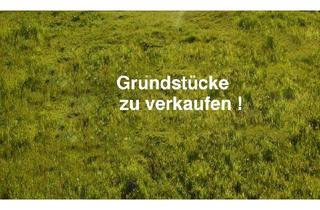 Grundstück zu kaufen in 6391 Fieberbrunn, Grundstücke in Traumlage