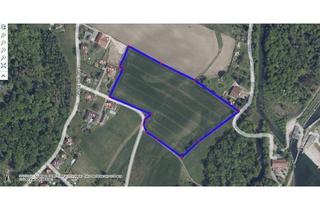 Grundstück zu kaufen in 4623 Gunskirchen, Grundstück für Ackerbau in Gunskirchen Au bei der Traun NEUER PREIS