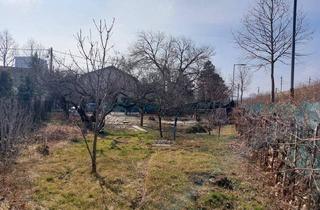 Grundstück zu kaufen in 2500 Baden, SELTENE RARITÄT - Gartengrundstück mit Obstbäumen und Weinreben (KEIN BAUGRUND) in Baden