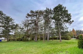 Grundstück zu kaufen in 2822 Föhrenau, [06125] RESERVIERT - So wow! 1.560m² Bauland in Föhrenau/Schwarzau am Steinfeld