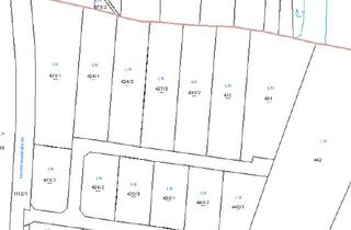 Grundstück zu kaufen in Großhaselbach, 3900 Schwarzenau, Baugrund im Siedlungsgebiet "Großhaselbach" / Parz.Nr.: 424/2