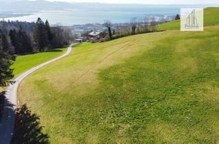 Grundstück zu kaufen in Niederhaus, 6911 Lochau, Einmalige Gelegenheit: Baugrundstück mit atemberaubender Seesicht!