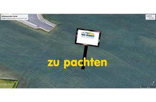 Grundstück zu kaufen in 4614 Marchtrenk, TOP-Baurechts-Grundstück ca. 5.600m² großer Pacht, Kauf Grund an der B1