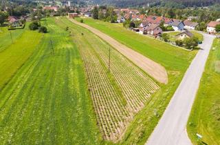 Grundstück zu kaufen in Föhrenweg, 3874 Litschau, Bauplatz Nr. 10 Föhrenweg