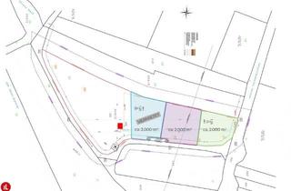  in 2333 Leopoldsdorf, Lagerfläche ab 2.000 m² zu mieten | Nähe Wien / S1
