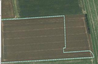  in 4062 Thening, B Widmung und MB Widmung auf Basis Baurecht Ab 3000 m2 Baurecht zu vergeben