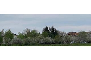 Gewerbeimmobilie mieten in Siebing, 8481 Siebing, Traum vom eigenen Obstgarten/Garten verwirklichen