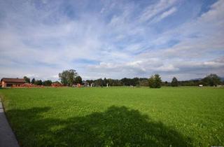 in 6890 Lustenau, Gelegenheit - Industriegrundstück 5.000 m² zur Pacht/Baurecht!