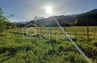 Agrarfläche kaufen in 2732 Willendorf, Gartenflächen am Ortsrand von Willendorf mit Grünblick 19,50 per m²