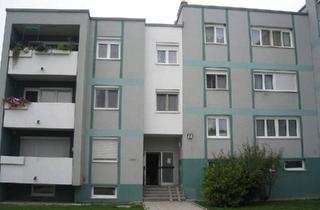 Wohnung mieten in 2345 Brunn am Gebirge, geräumige und unbefristete 2-Zimmer-Wohnung