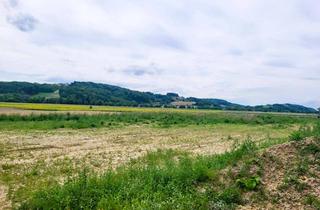 Grundstück zu kaufen in Gillersdorfer Hauptstraße 58, 8282 Loipersdorf bei Fürstenfeld, Sonnige Grundstücke mit traumhaften Weitblick in Gillersdorf bei Bad Loipersdorf