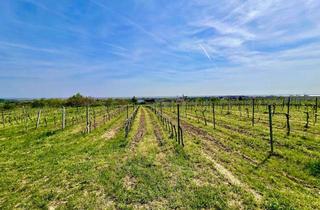 Grundstück zu kaufen in 7000 Eisenstadt, Traumgrundstück in idyllischer Weinregion – perfekt für Ihr Tourismusprojekt!