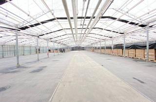 Gewerbeimmobilie mieten in 8055 Graz, Individuelle Lagerflächen in Graz Puntigam