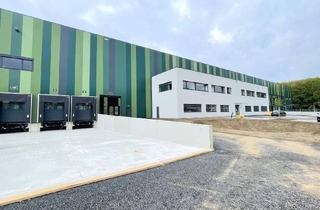 Büro zu mieten in 8435 Wagna, Moderne Produktions- oder Gewerbehalle