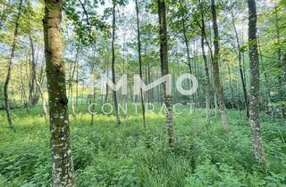 Grundstück zu kaufen in 3321 Ardagger Stift, Erholung pur im eigenen Wald mit Bach und Wiesen nähe Amstetten