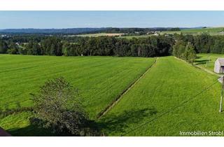 Einfamilienhaus kaufen in 5221 Lochen am See, Großzügiges Einfamilienhaus mit Sanierungsbedarf in Naturlage von Lochen am See