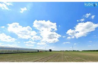 Gewerbeimmobilie kaufen in 1220 Wien, 45.358m² Land- und Forstwirtschaft (Option möglich)