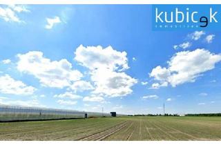 Grundstück zu kaufen in 1220 Wien, 45.358m² Land- und Forstwirtschaft (Option möglich)