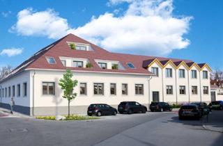 Wohnung kaufen in 2514 Traiskirchen, THERMAL - GOLF - REITEN - WEIN - 144m² Wohnen auf 3 Ebenen mit LOGGIA NEUBAU im südlichen Wienerwald – THERMENREGION – 5 min zur A2