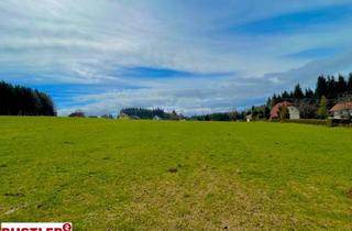 Grundstück zu kaufen in 9441 Twimberg, Baugrundstück im Ausmaß von 1.784 m² mit Almcharakter Naturparadies Lavanttal