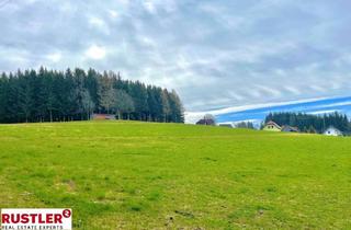 Grundstück zu kaufen in 9441 Twimberg, Baugrundstück für Bauträger im Ausmaß von 5.696 m² mit Almcharakter