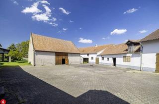 Gewerbeimmobilie kaufen in 2431 Enzersdorf an der Fischa, Ehemaliger Vierkanthof in Enzersdorf an der Fischa