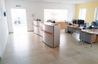 Büro zu mieten in 4655 Vorchdorf, Teilbare Büro- und Betriebsflächen