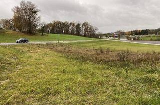 Grundstück zu kaufen in 4323 Münzbach, Mein Baugrund in Münzbach: nur mehr 1 Baugrund verfügbar-Neuer Preis!