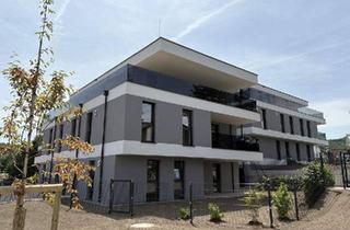 Wohnung kaufen in 4048 Puchenau, Harmonia Puchenau