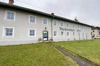 Büro zu mieten in 4616 Weißkirchen, Großzügige Büroflächen in verkehrsgünstiger Lage!