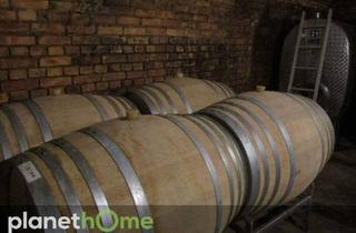 Gewerbeimmobilie kaufen in 3550 Langenlois, Traditionsweingut mit bestens eingeführter Marke