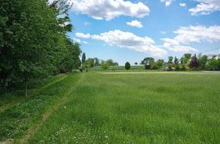 Grundstück zu kaufen in Binderweg, 4972 Utzenaich, Mein Panorama - großes Grundstück in Bestlage