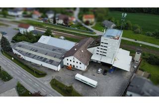 Büro zu mieten in 4980 Antiesenhofen, Vielseitiges Betriebsobjekt inkl. Lagehalle, Silogebäude, Werkstatt, Bürogebäude