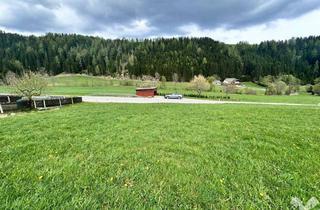 Grundstück zu kaufen in 8742 Obdach, Baugrund in idyllischer Lage