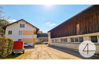 Agrarfläche kaufen in 3242 Texing, Landwirtschaft mit Pferdewirtschaft in Texingtal (NÖ) – ohne Wohnhaus